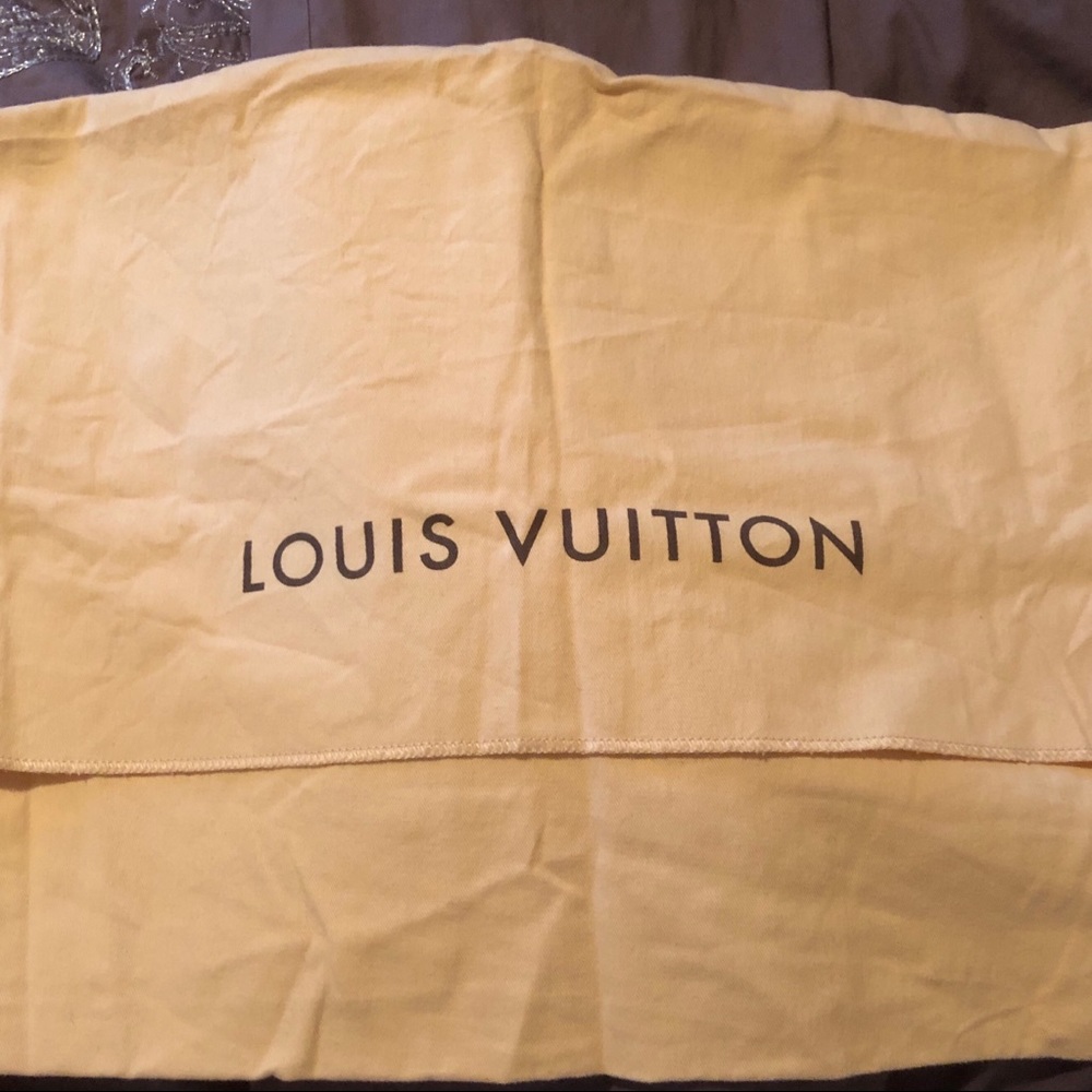 Louis Vuitton Handbag